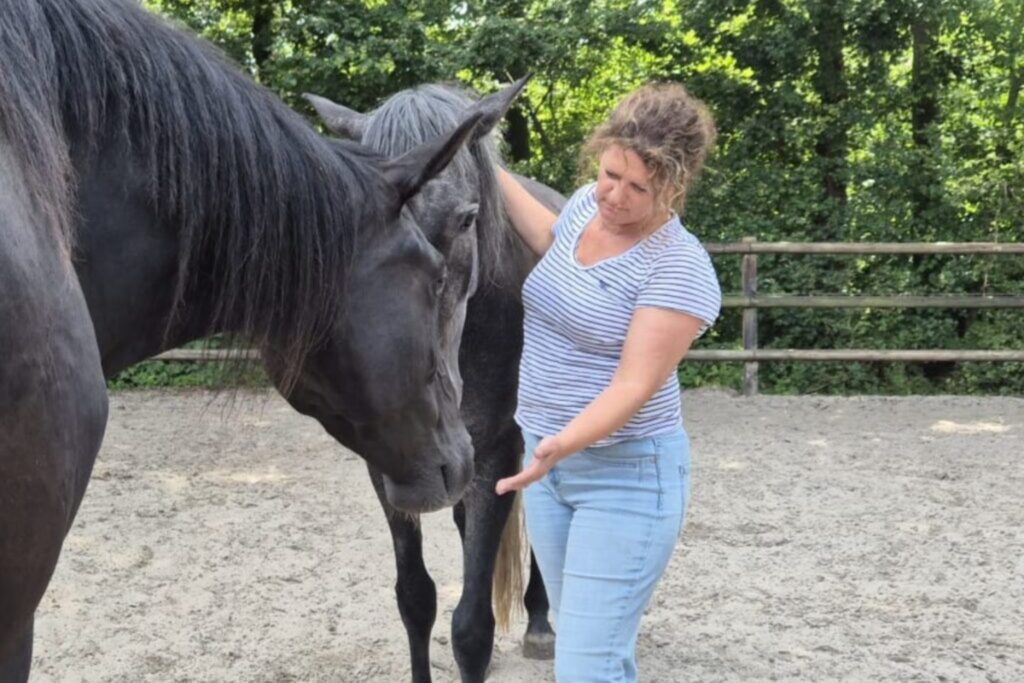 Martha met de paarden | Luna